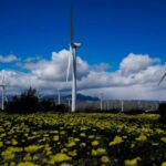 Wind sector faces supply chain crunch this decade, industry body warns