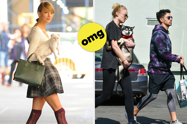 19 Of The Cutest Celebrity Pets Of All Time