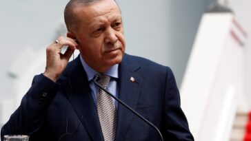 Erdogan returns from three-day campaign absence due to illness