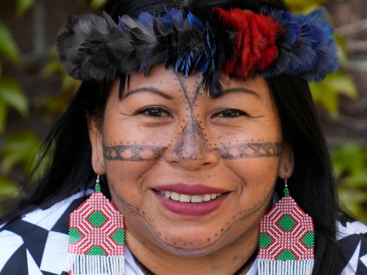 Indigenous leader from Brazil wins top environmental prize