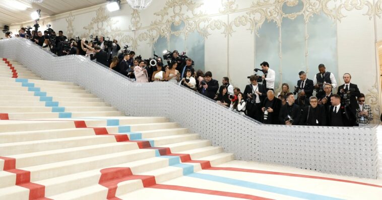 A Cockroach Walked the Met Gala Red Carpet