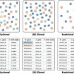 Automated, accurate reporting for NGS-based clonality testing