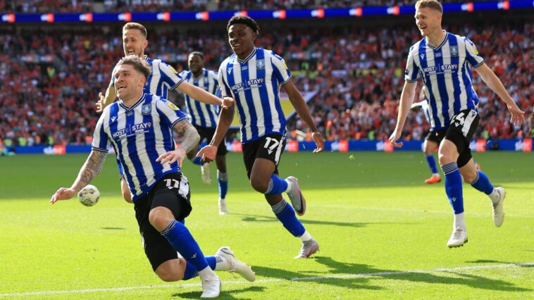 Josh Windass (left) wheels away to celebrate his dramatic winner for Sheffield Wednesday against Barnsley