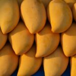 mangoes, ripe mangoes, weight loss, weight gain, health news,