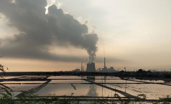 Countries urged to take more action against chemical pollution