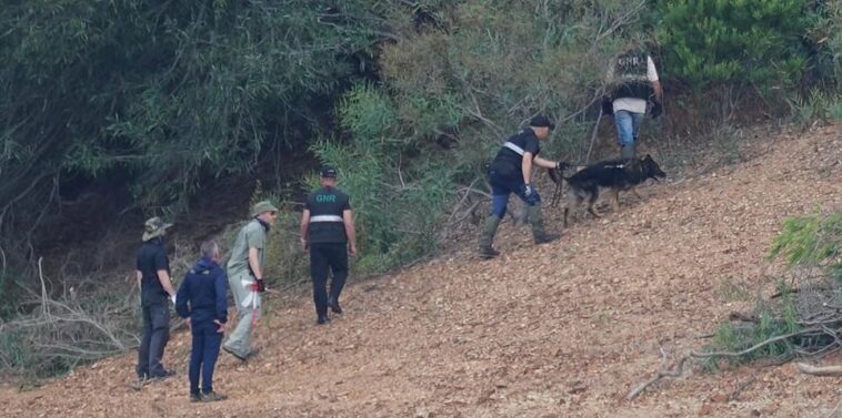 Madeleine McCann recap: Recap of Wednesday's search in hunt for missing girl at reservoir