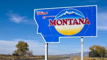 TikTok sues Montana to reverse state's ban of the app