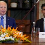 UK has no plans to strike US trade deal during Rishi Sunak visit to Washington