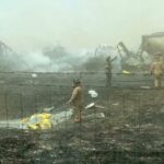 US: Multiple dead after dust storm causes highway pileup