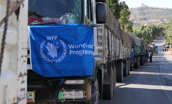 WFP plan aims to prevent further food aid diversion in Ethiopia