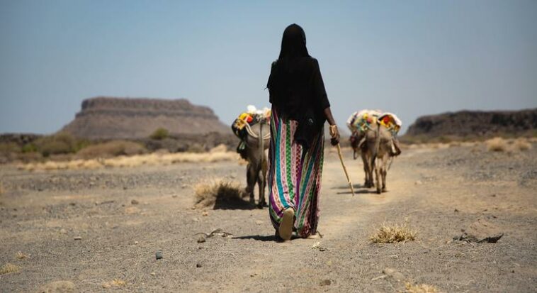 Climate shocks set to worsen already fragile hotspots, Security Council hears