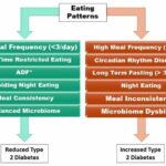 Fewer meals may prevent Type 2 diabetes, obesity