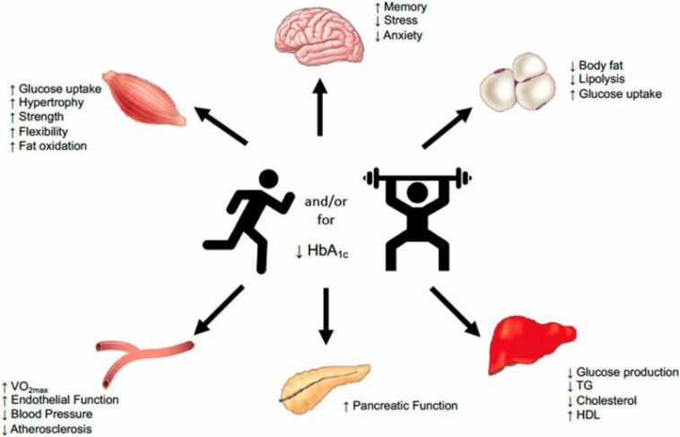 For type 2 diabetics who exercise, some approaches are better than others