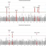 From genes to gestation, researchers probe predictive markers for pregnancy complications