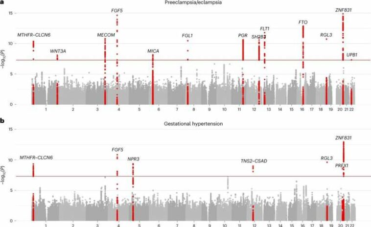 From genes to gestation, researchers probe predictive markers for pregnancy complications