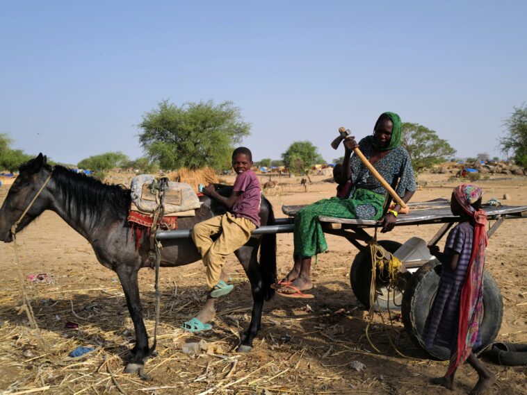 Germany, Qatar, US pledge millions of dollars for Sudan aid