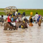 Northeastern Nigeria: malnourished children fighting for their lives