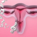 uterus vector on pink background