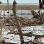 Time running out to save Myanmar’s Rakhine from hunger and disease post-Cyclone Mocha