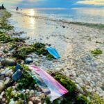 World must ‘work as one’ to end plastic pollution: Guterres