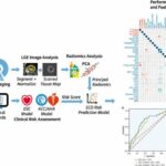 AI can improve predictions of sudden cardiac death in patients with common heart condition, researchers show