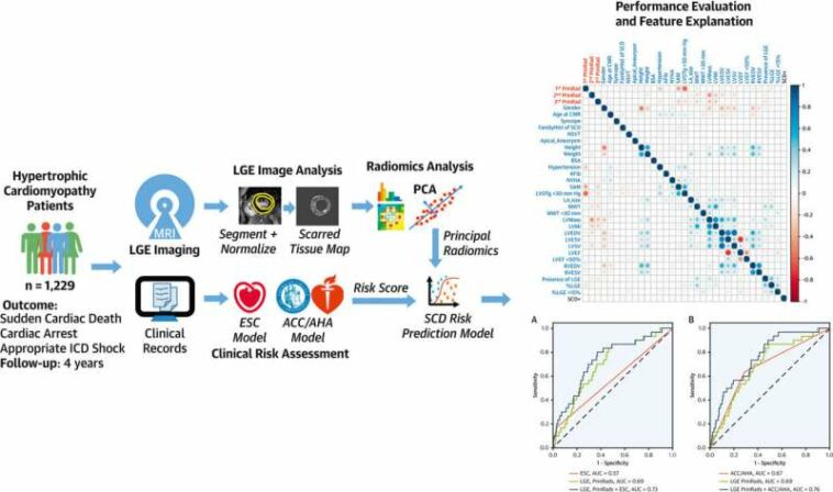 AI can improve predictions of sudden cardiac death in patients with common heart condition, researchers show