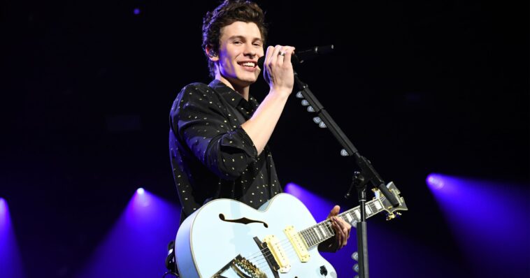 An Overview of Shawn Mendes's Dating History, From Hailey Bieber to Camila Cabello