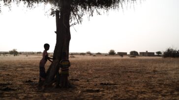 Armed groups step up murders, rapes in Mali: HRW