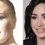 Demi Lovato Revealed She Has Mixed Feels About The Infamous Poot Lovato Meme, And I Totally Get Why