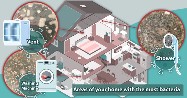 The areas of your home with the most bacteria