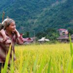 INTERVIEW: Food systems contribute to solving ‘world's most important challenges’