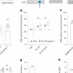 Injection of klotho protein into older monkeys found to improve cognitive decline