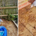 Mother-of-three fed up with filthy drain waste ruining garden and causing smell