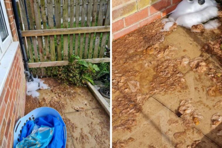 Mother-of-three fed up with filthy drain waste ruining garden and causing smell