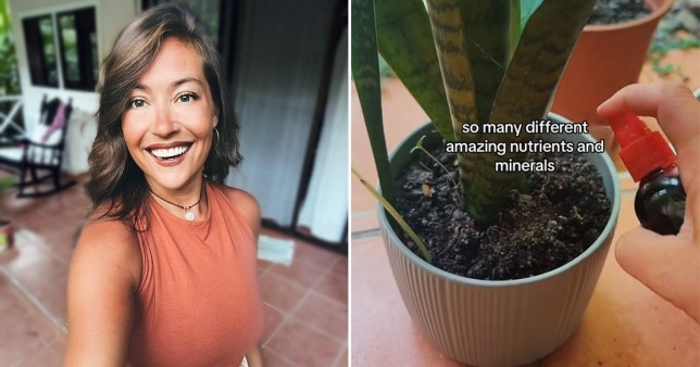 Woman uses period blood to water her plants Tik Tok