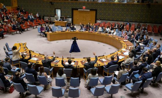 Niger: Security Council strongly condemns ‘efforts to unconstitutionally change’ Government