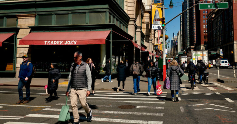 Trader Joe’s Recalls Cookies and Falafel Because They ‘May Contain Rocks’