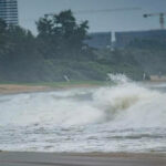 Typhoon Talim leaves behind crushed vehicles, beached whale in China