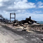 'Nothing left': Future unclear for Hawaii residents who lost it all in fire