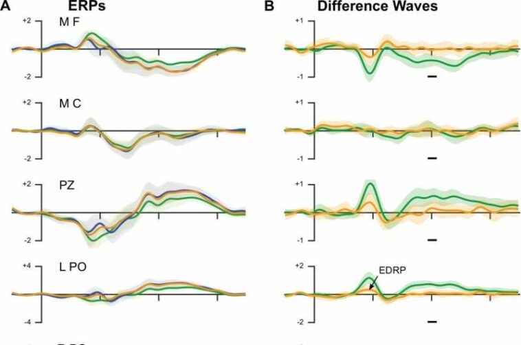 Attention is required for a popular brain signature of prediction error, researchers find