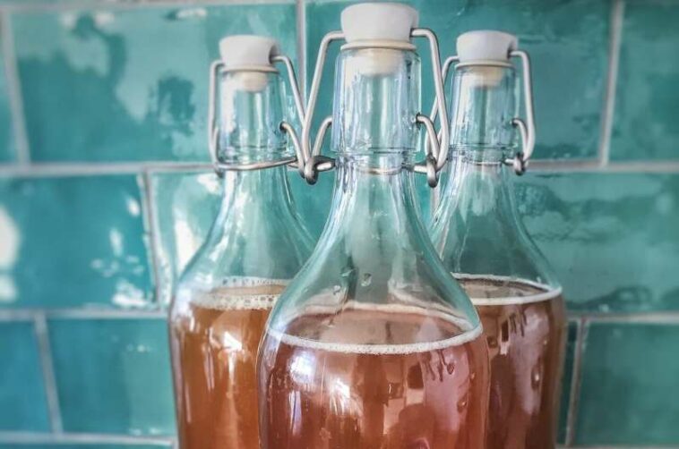 kombucha