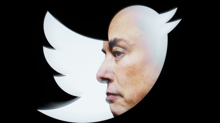 Facing lawsuit from Musk, nonprofit head says he won't stop exposing Twitter's problems