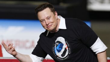 Federal judge asks if Elon Musk was trying to 'cozy up' to Trump during criminal probe