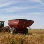 First Scorched, Then Soaked: Weather Whiplash Confounds Farmers