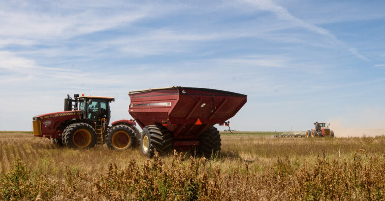 First Scorched, Then Soaked: Weather Whiplash Confounds Farmers