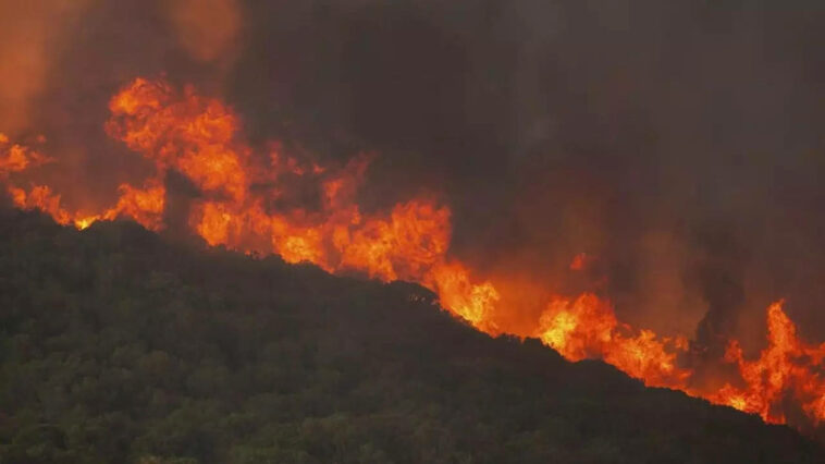 Greece struggles to tame wildfires raging for a sixth day