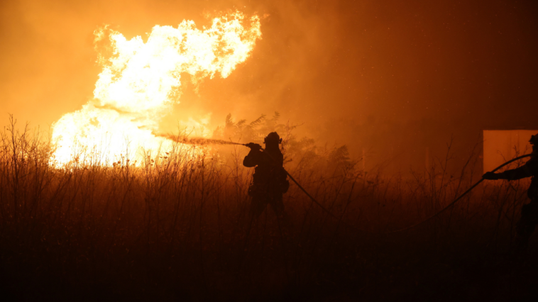 Greece wildfire: 20 bodies found in area stuck by forest fire