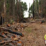 Hawaii’s Big Utility Pushes Back on Blame for Deadly Wildfire