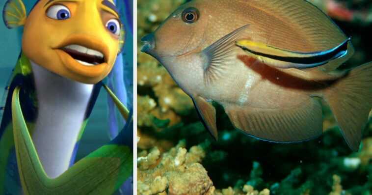 Here Are Side-By-Side Photos Of 14 Animals And Their Iconic Animated Counterparts