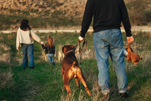 Husband who tried to secretly abandon family dog caught out by dashcam footage